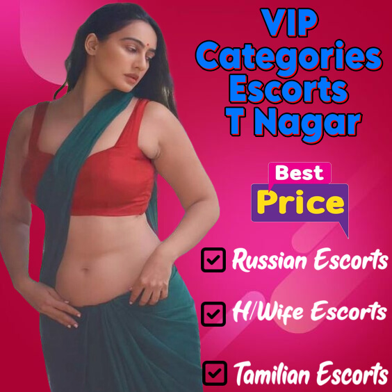 T Nagar Escort Service